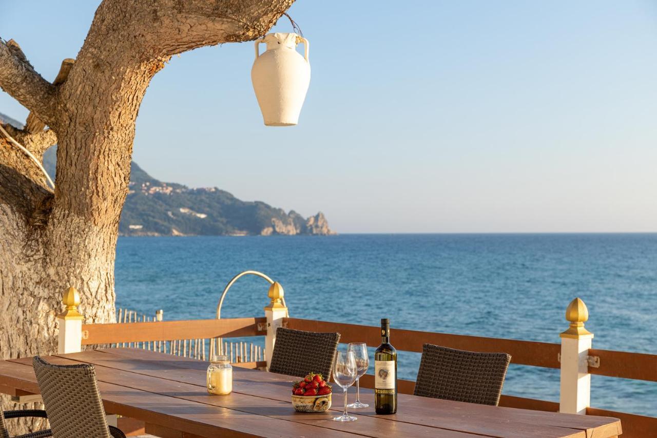 Villa Renata & Villa Filippos With Private Plunge Pool By Konnect Agios Gordios  Exterior photo